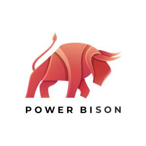 Power BiSon